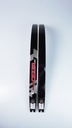 WNS Delta Limbs 2.JPG
