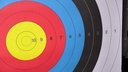JVD 122cm target face full 1.JPG