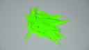 FFP 300 cosmic green 3.JPG
