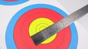 JVD VERTICAL 3 FACE DOUBLE PURPOSE