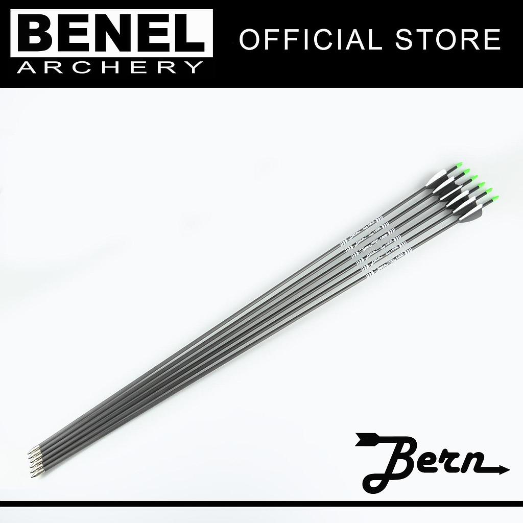 BERN LOOSE TARGET PLUS ARROW 1100 (NO POINTS)