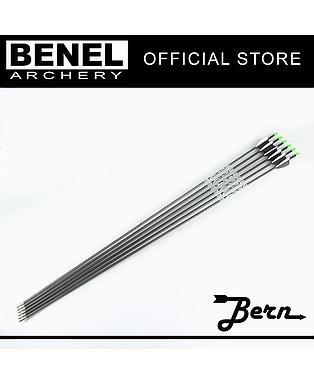 BERN LOOSE TARGET PLUS ARROW 1100 (NO POINTS)