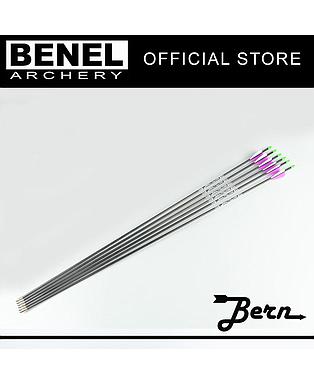 BERN TARGET PLUS ARROW (SG) 1200 90 GR. POINT