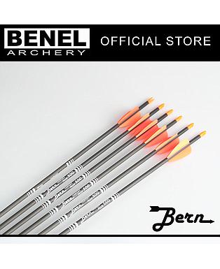 BERN TARGET PLUS ARROW (SG) 500 120 GR. POINT