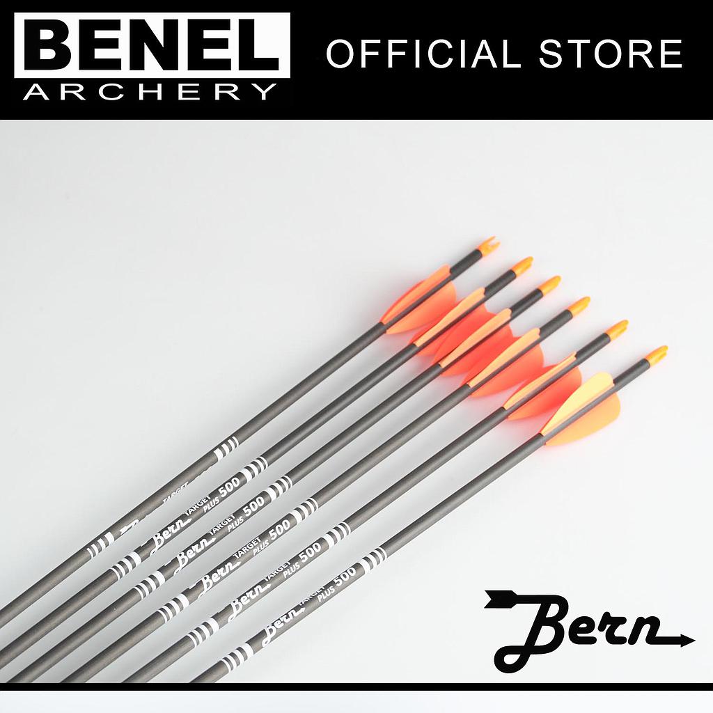 BERN TARGET PLUS ARROW (SG) 500 120 GR. POINT