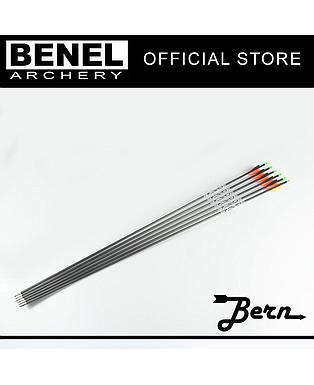 BERN TARGET PLUS ARROW (SG) 600 120 GR. POINT