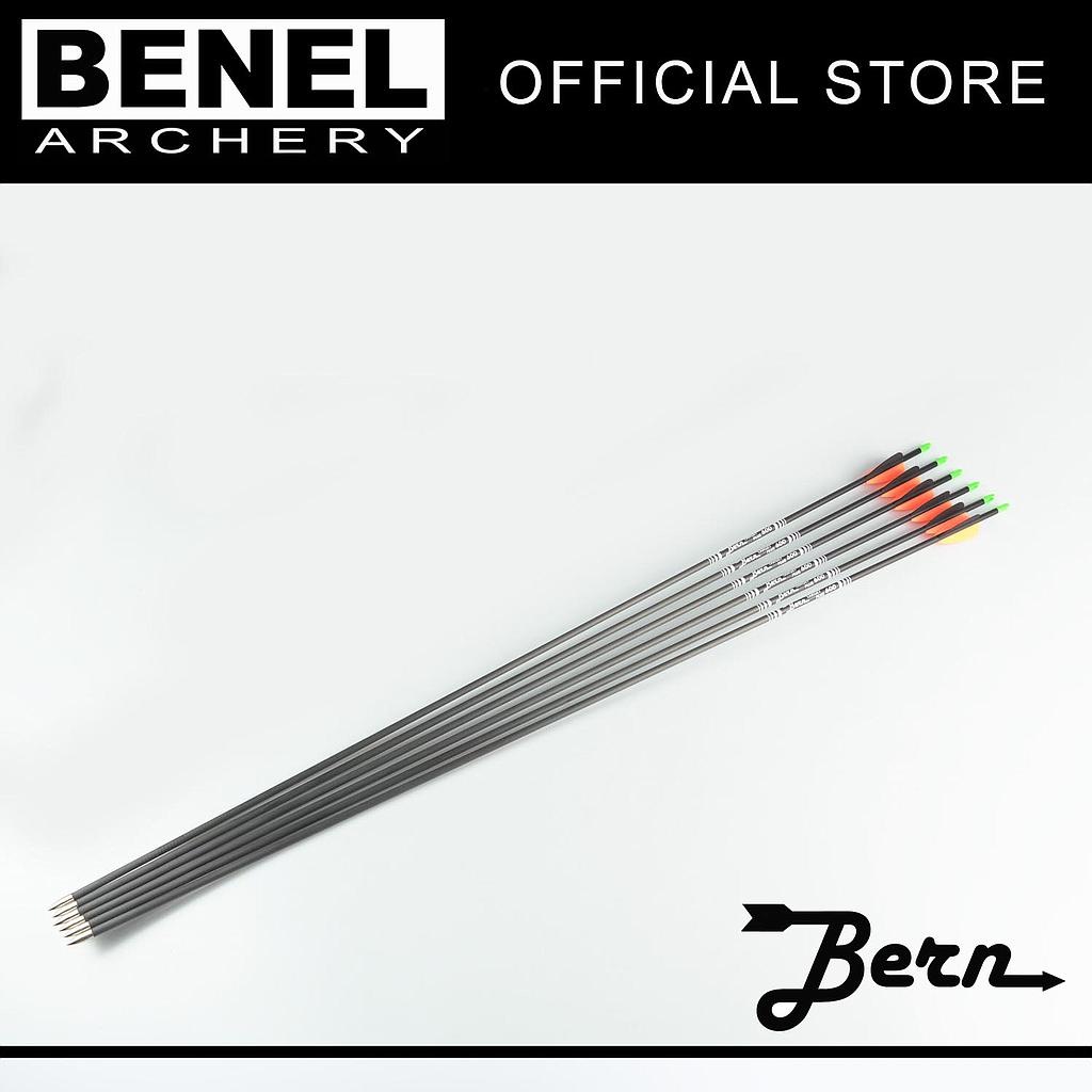 BERN TARGET PLUS ARROW (SG) 600 120 GR. POINT