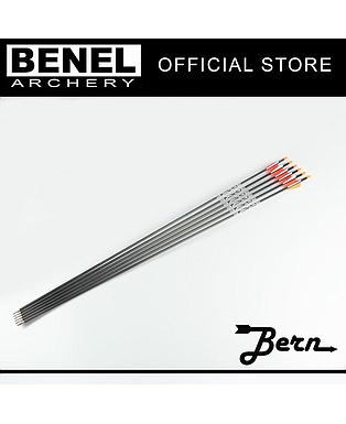 BERN TARGET PLUS ARROW (SG) 700 110 GR. POINT