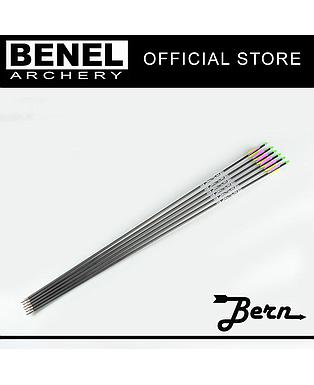 BERN TARGET PLUS ARROW (SG) 800 110 GR. POINT
