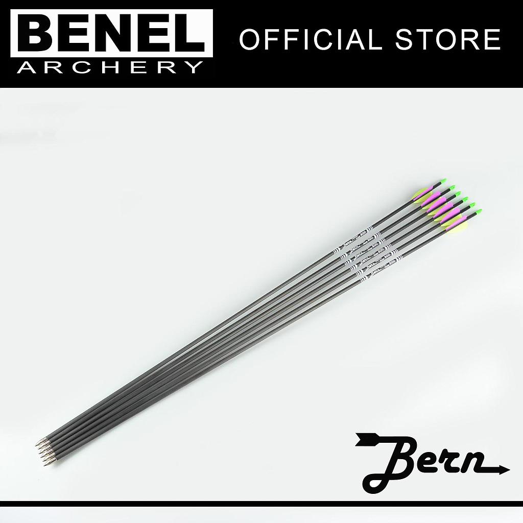 BERN TARGET PLUS ARROW (SG) 800 110 GR. POINT