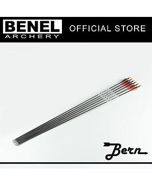 BERN TARGET PLUS ARROW (SG) 900 100 GR. POINT