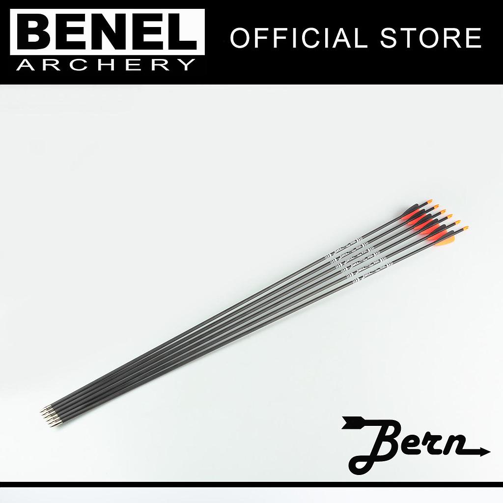 BERN TARGET PLUS ARROW (SG) 900 100 GR. POINT