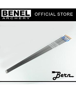BERN TARGET PLUS ARROW (SG)1100 90 GR. POINT