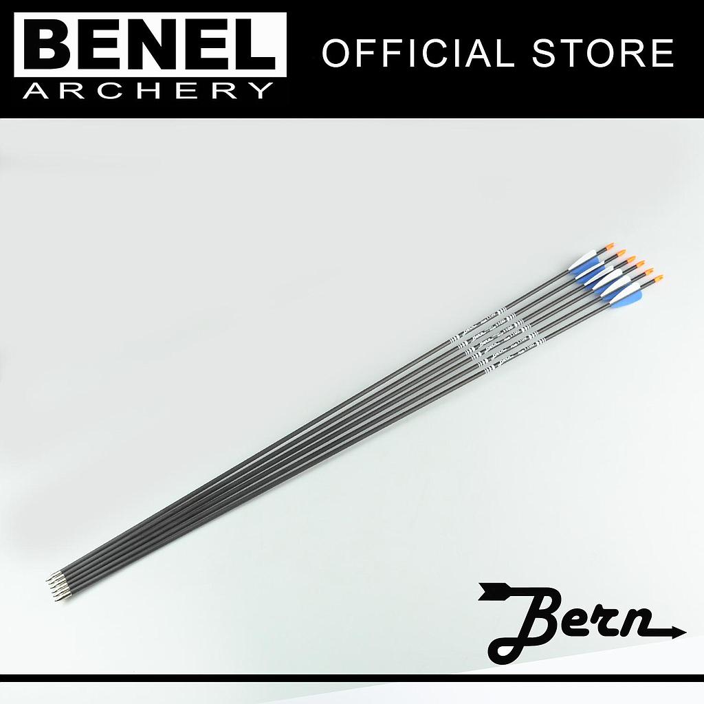 BERN TARGET PLUS ARROW (SG)1100 90 GR. POINT